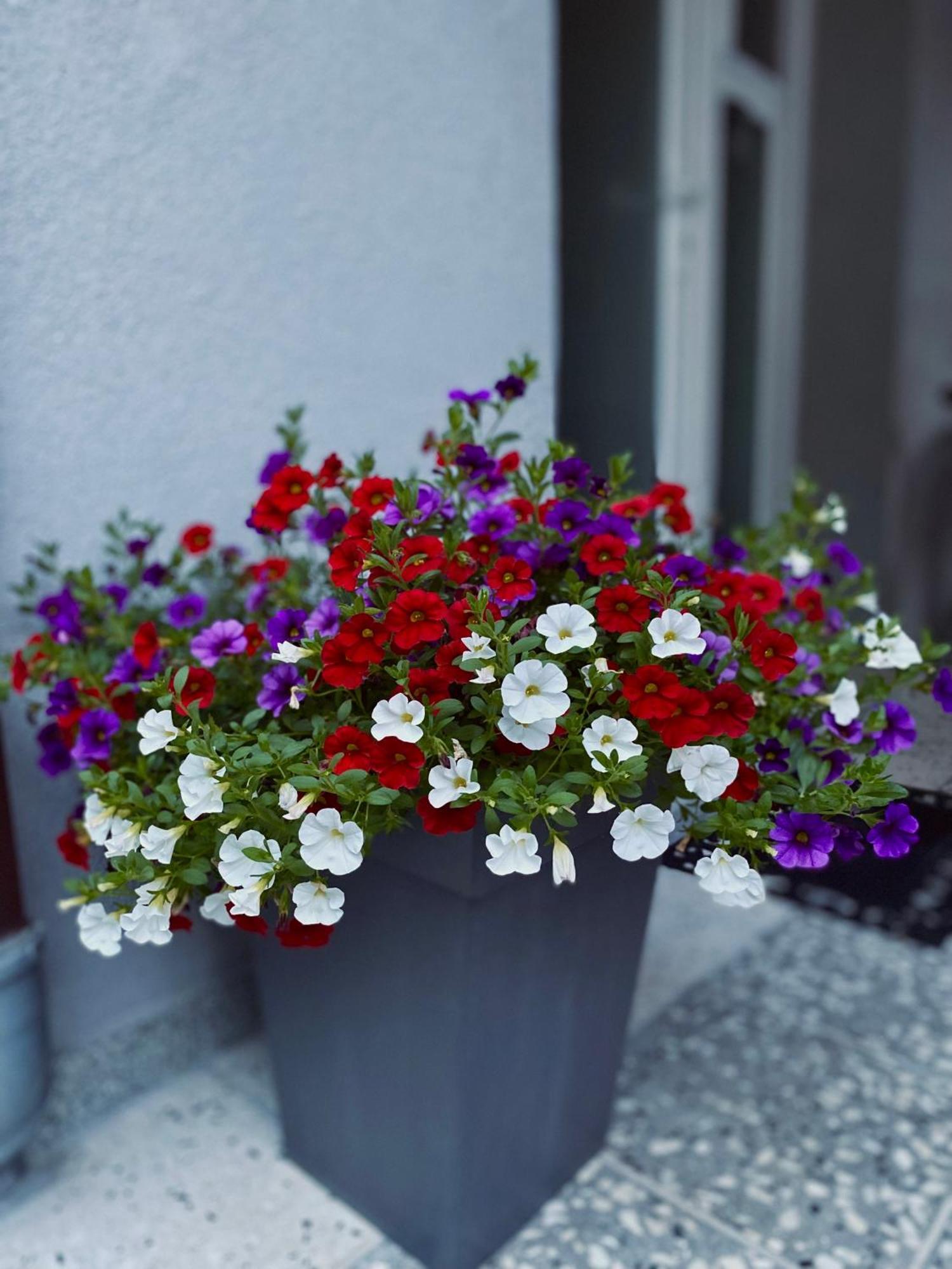 Greenhill Apartments Kumanovo Luaran gambar