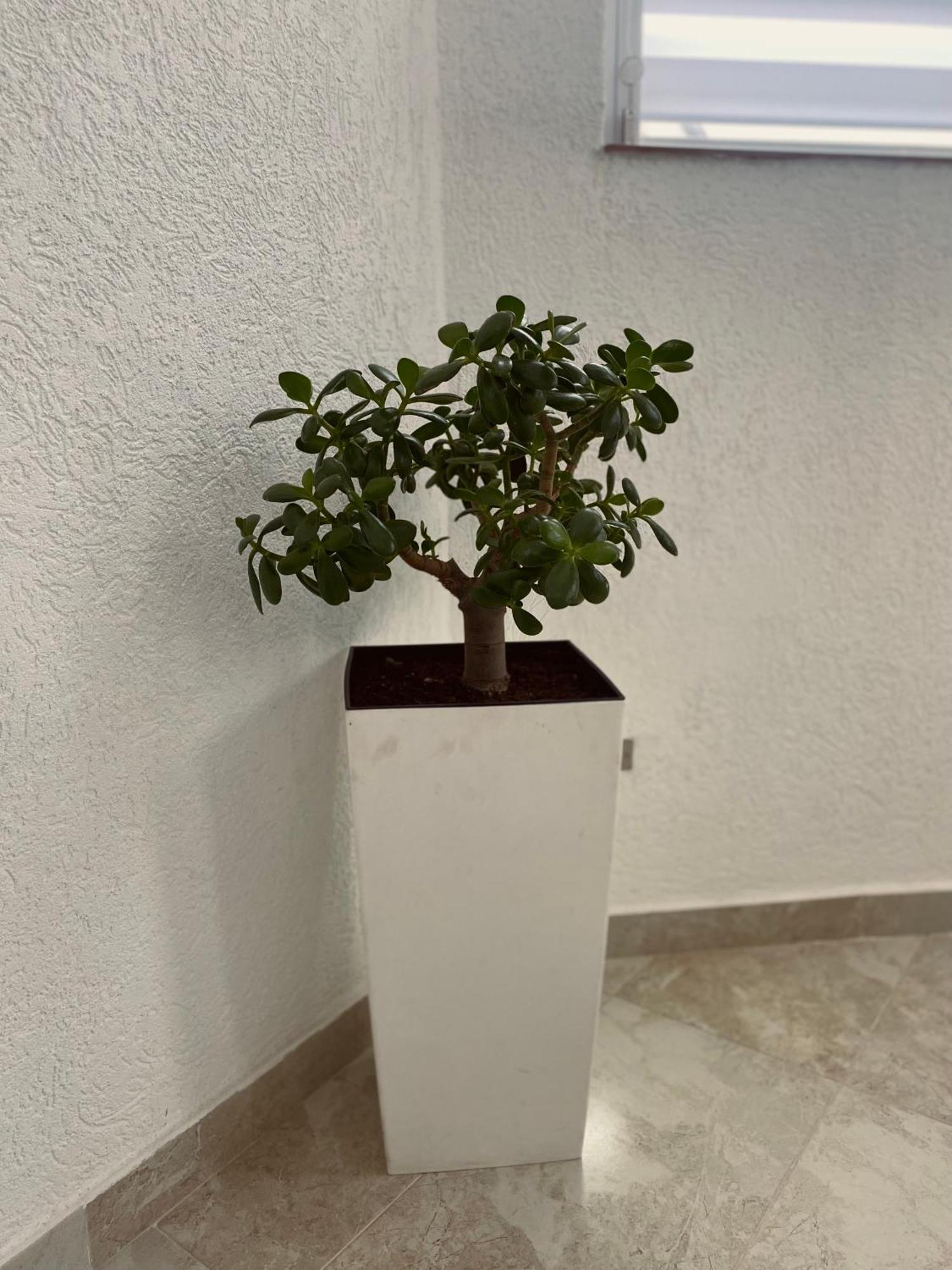Greenhill Apartments Kumanovo Luaran gambar